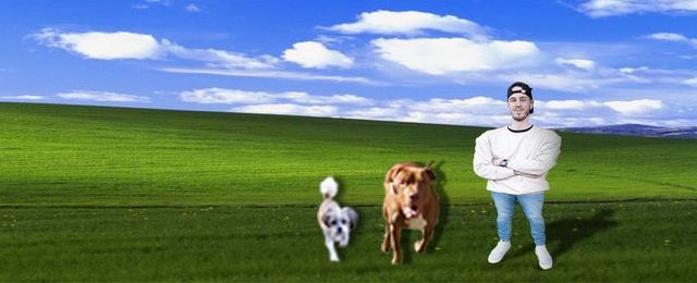 Trovo banner for @noah