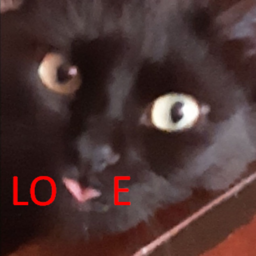 GORZ_live